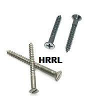 SS Polished Wood Screws